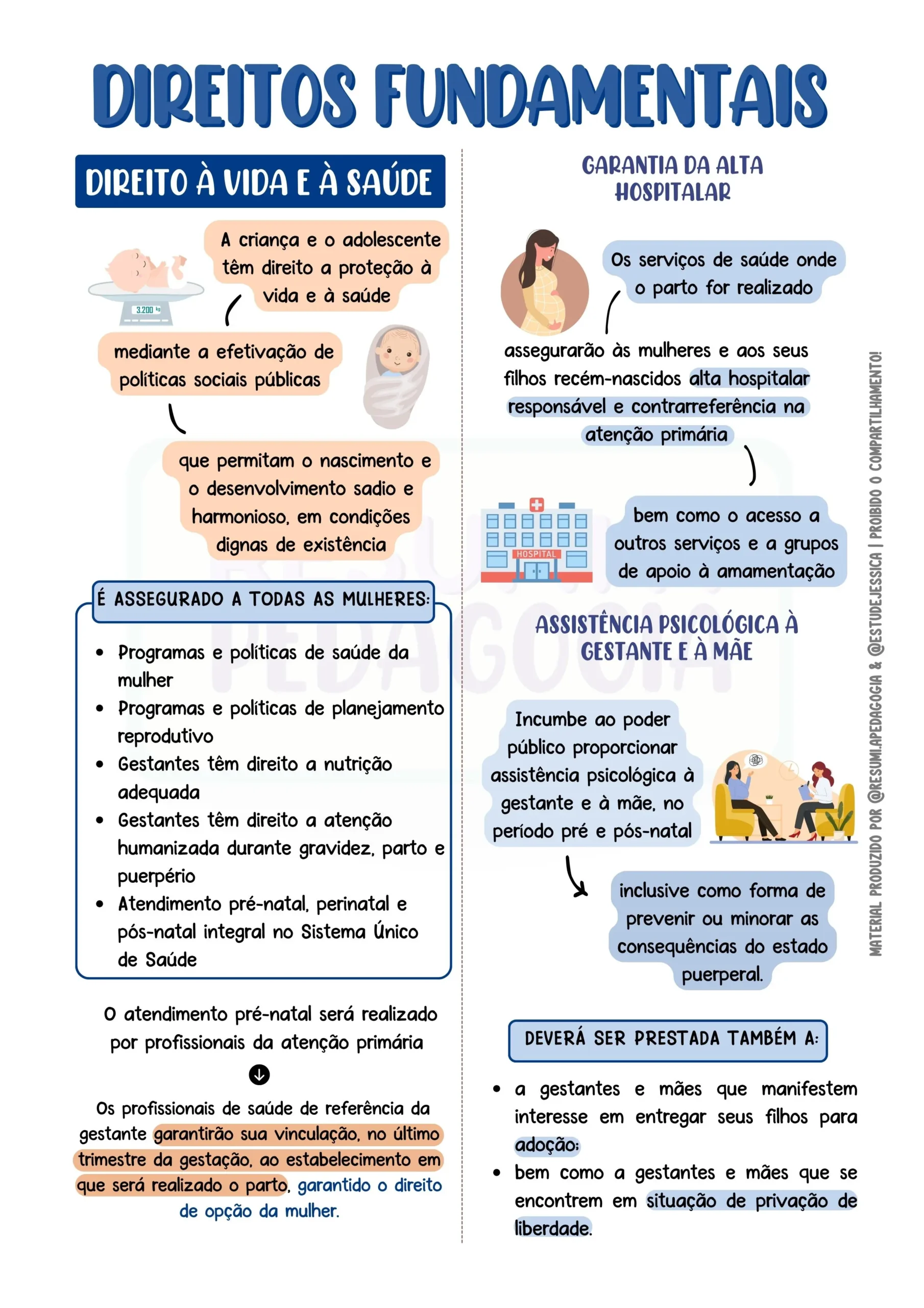 Direitos Fundamentais